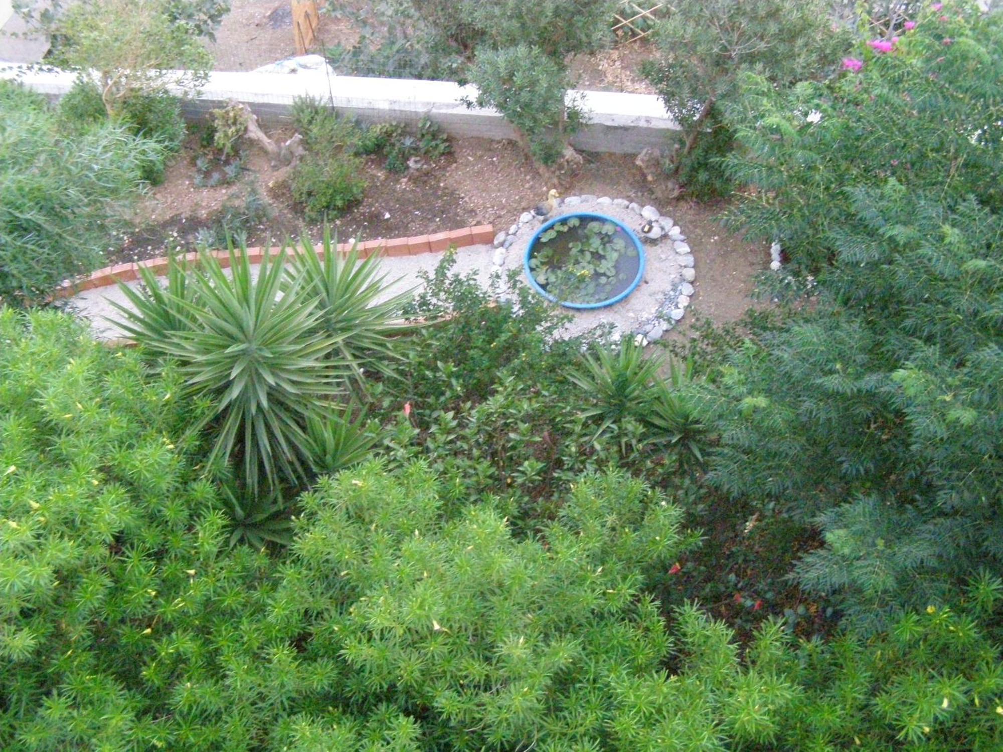 Studios Aeolos Kalymnos Myrties Exterior foto